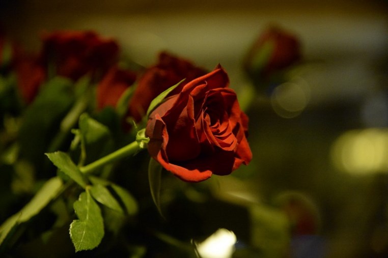 Valentine's at Hemingway's Bar & Lounge